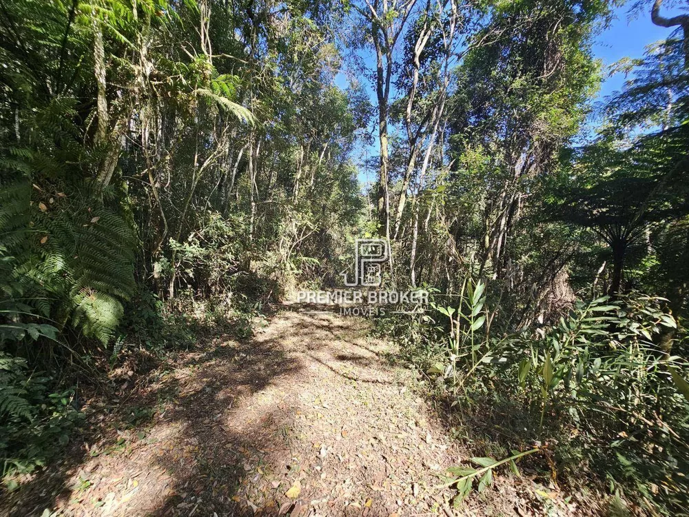 Terreno, 12 hectares - Foto 19