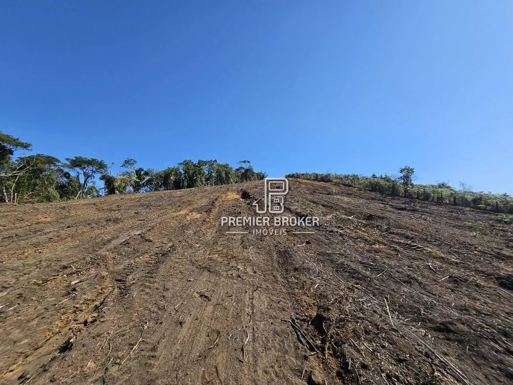 Terreno, 12 hectares - Foto 4
