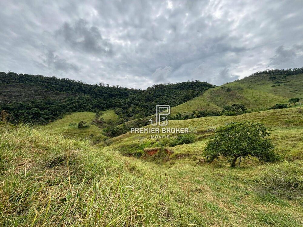 Fazenda à venda com 4 quartos, 400m² - Foto 4