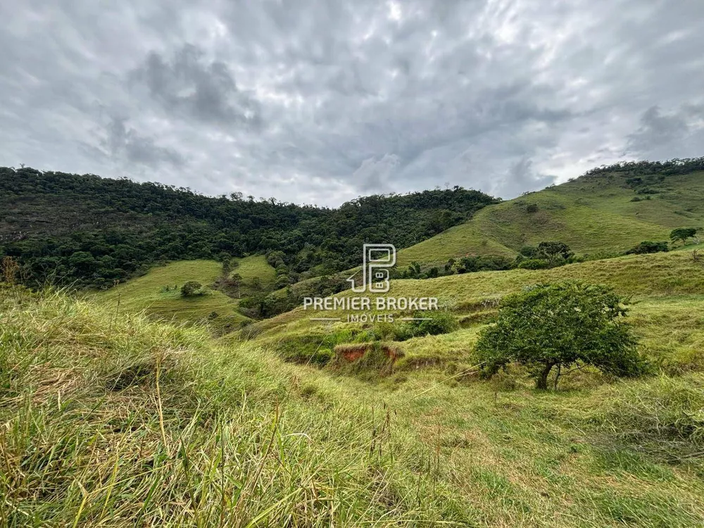 Fazenda, 165 hectares - Foto 8