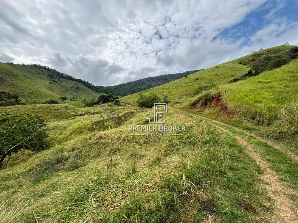 Fazenda, 165 hectares - Foto 7