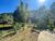 Chácara, 2 quartos, 3600 m² - Foto 2
