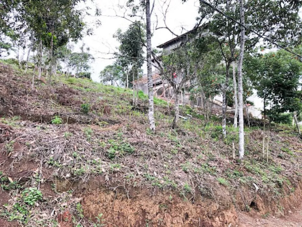 Loteamento e Condomínio, 429 m² - Foto 3