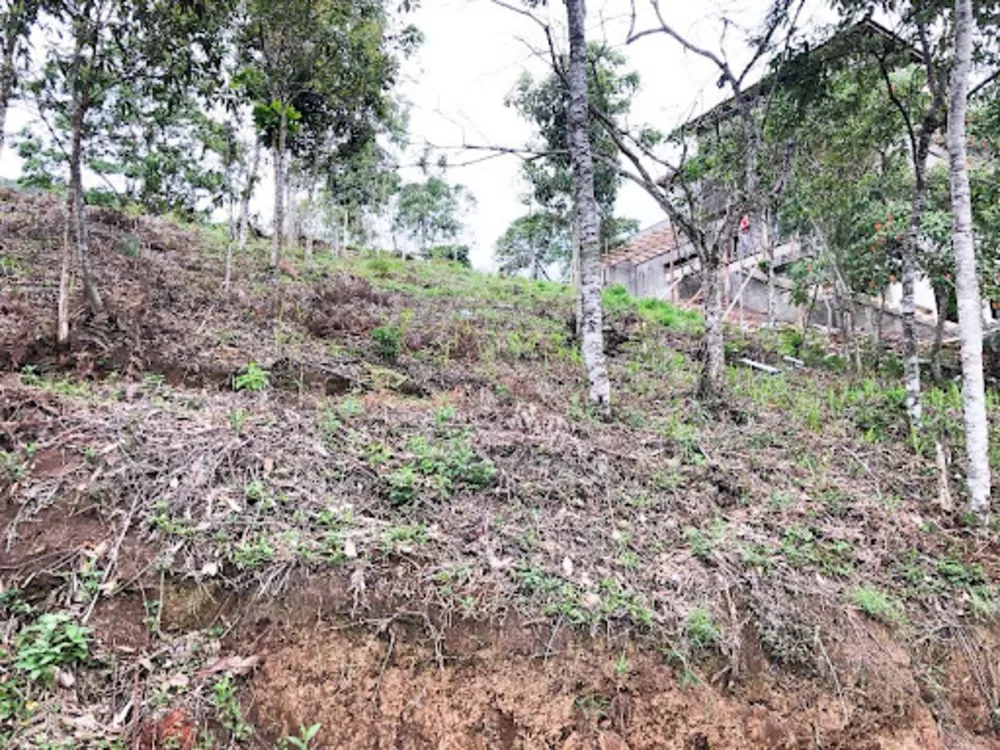 Loteamento e Condomínio, 429 m² - Foto 5