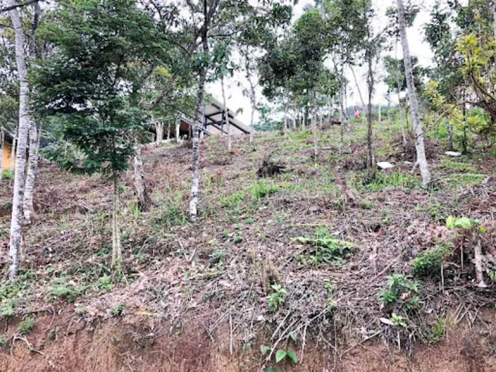 Loteamento e Condomínio, 429 m² - Foto 4