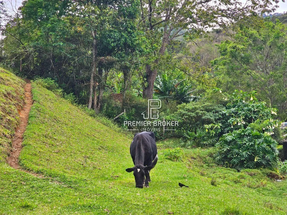 Sítio, 7 quartos, 4 hectares - Foto 66