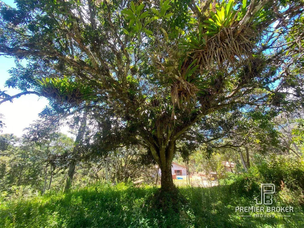 Terreno, 5000 m² - Foto 16