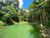 Terreno, 5000 m² - Foto 2