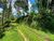 Terreno, 5000 m² - Foto 6