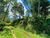 Terreno, 5000 m² - Foto 5