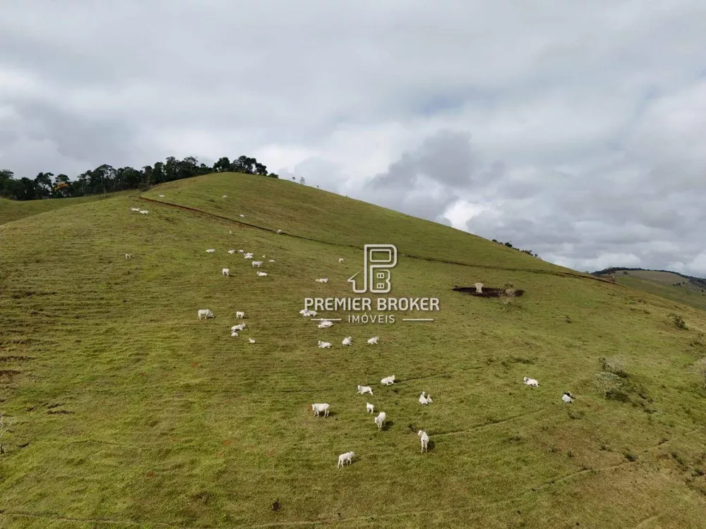 Fazenda, 164 hectares - Foto 44