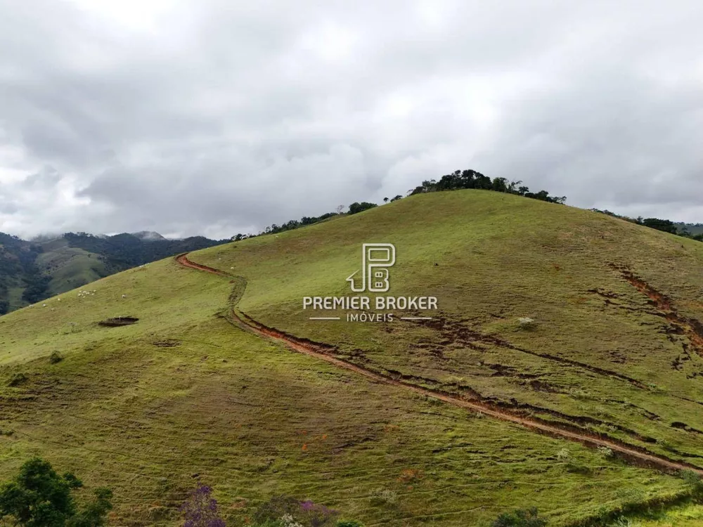 Fazenda, 164 hectares - Foto 39