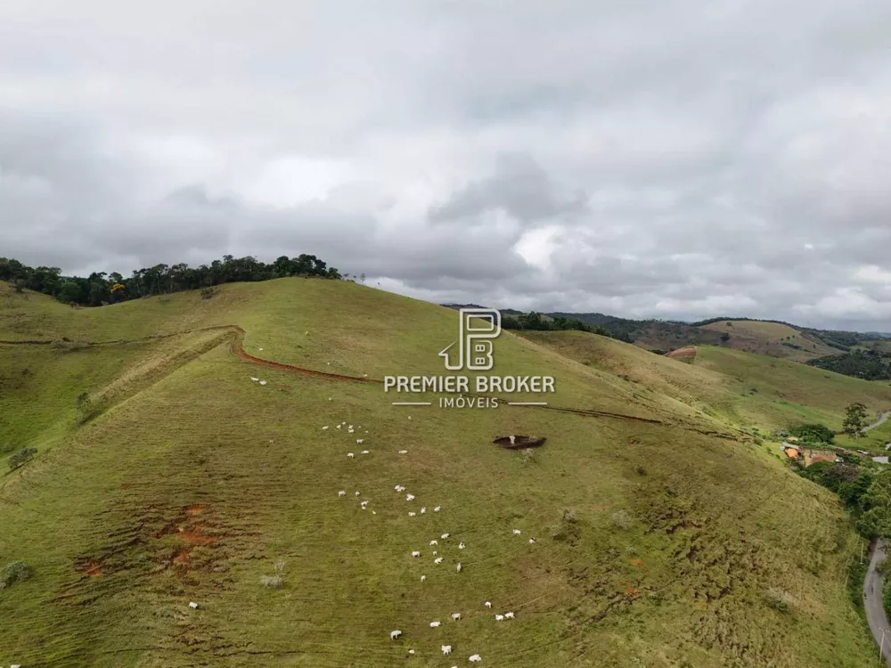 Fazenda, 164 hectares - Foto 43