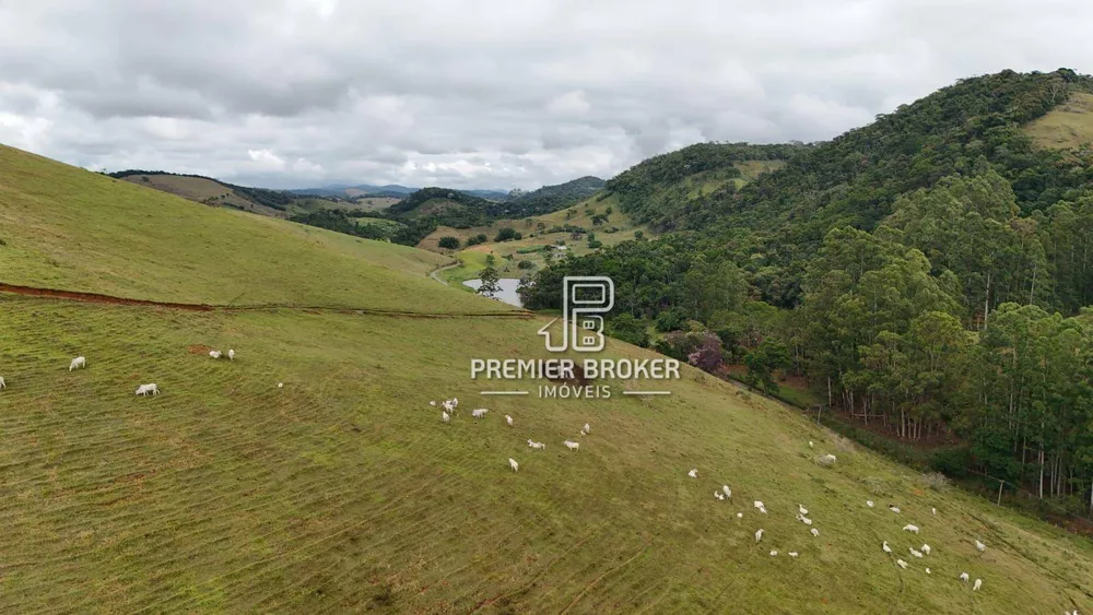 Fazenda, 164 hectares - Foto 61