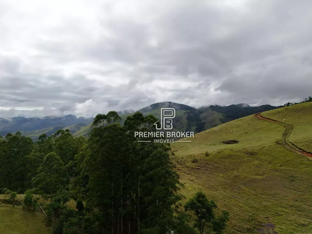 Fazenda, 164 hectares - Foto 40