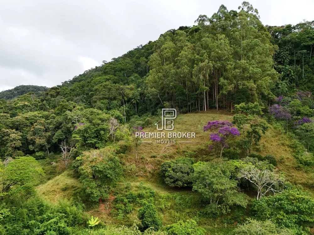 Fazenda, 164 hectares - Foto 38