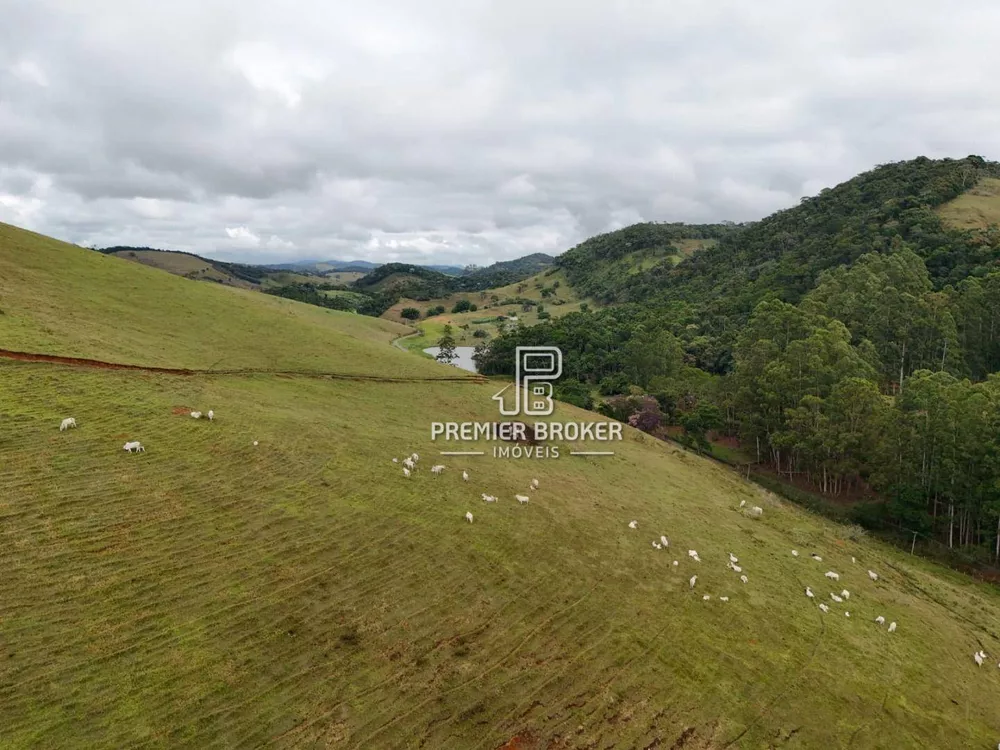 Fazenda, 164 hectares - Foto 62