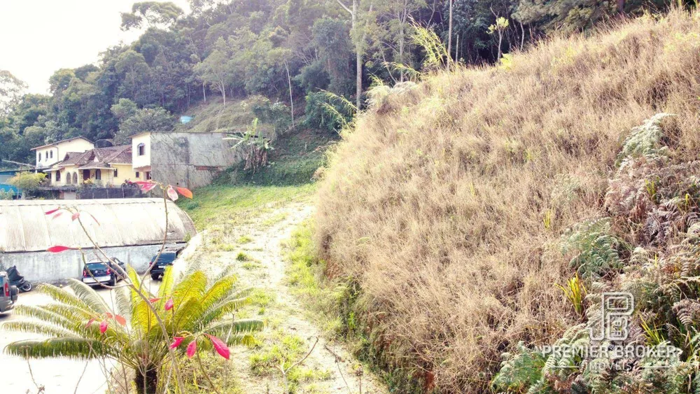 Terreno, 2 hectares - Foto 4