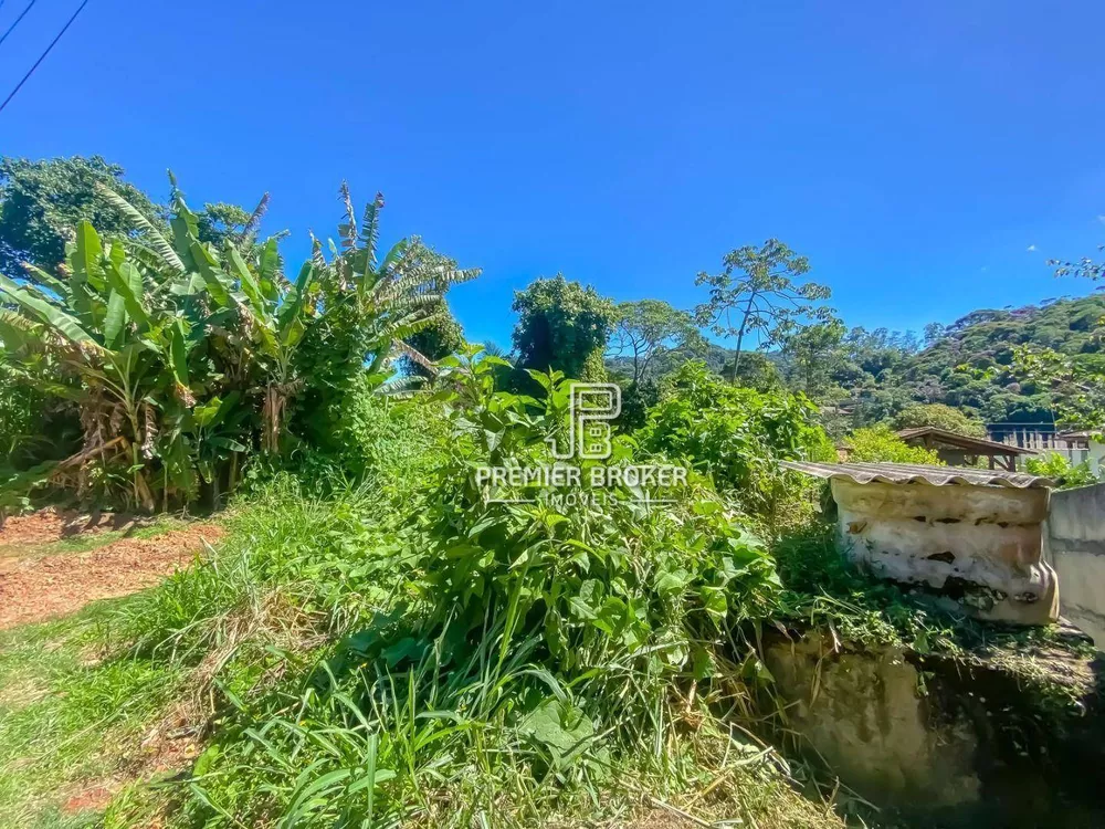 Terreno à venda, 4800M2 - Foto 4