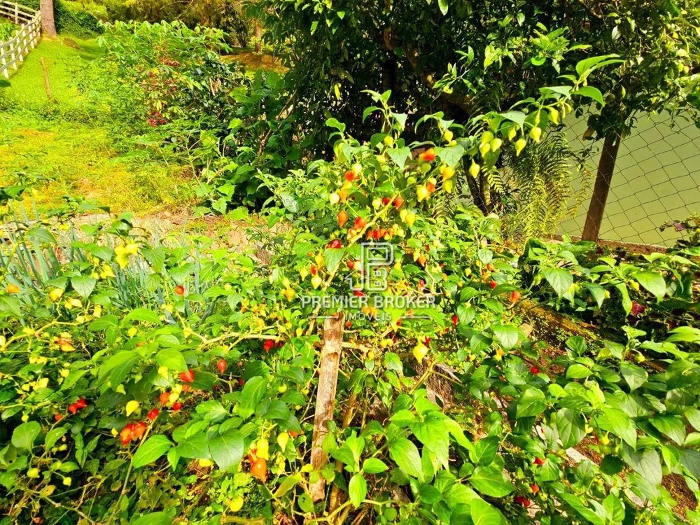 Sítio, 6 quartos, 30 hectares - Foto 68