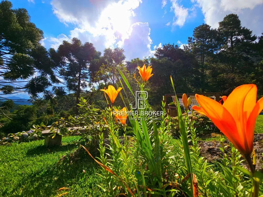 Sítio, 6 quartos, 30 hectares - Foto 57