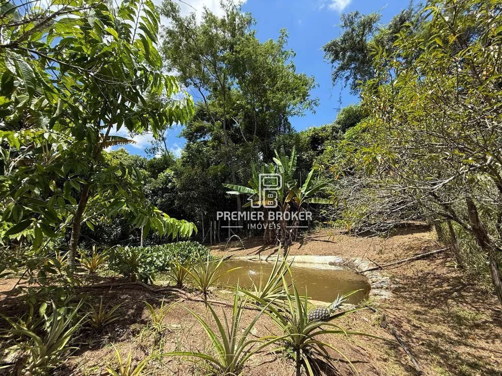 Sítio, 3 quartos, 3857 m² - Foto 22