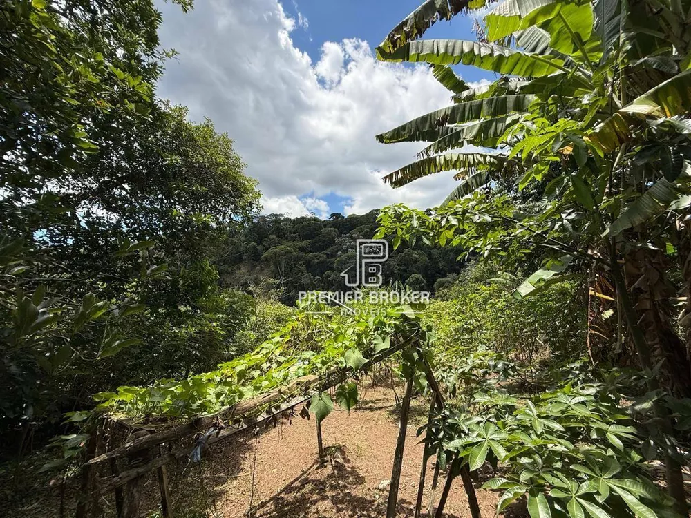 Sítio, 3 quartos, 3857 m² - Foto 21