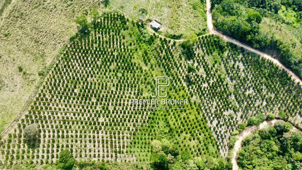 Sítio, 3 quartos, 9 hectares - Foto 4