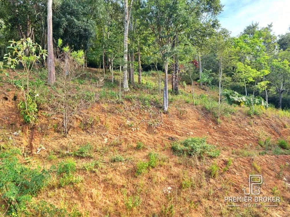 Casa, 4 quartos, 600 m² - Foto 58