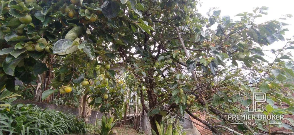 Casa, 3 quartos, 249 m² - Foto 29