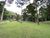 Sítio, 10 quartos, 11 hectares - Foto 2