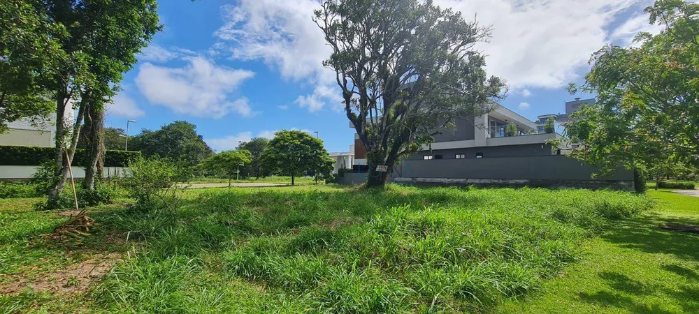 Terreno, 701 m² - Foto 2