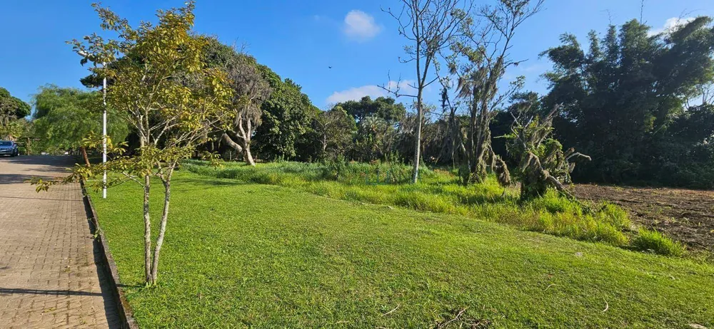 Loteamento e Condomínio, 3000 m² - Foto 4