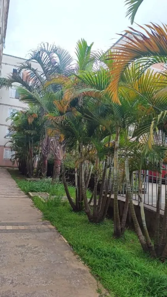 Apartamento, 2 quartos, 41 m² - Foto 11