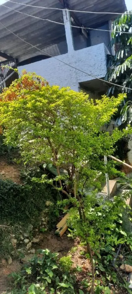 Casa, 2 quartos, 255 m² - Foto 8