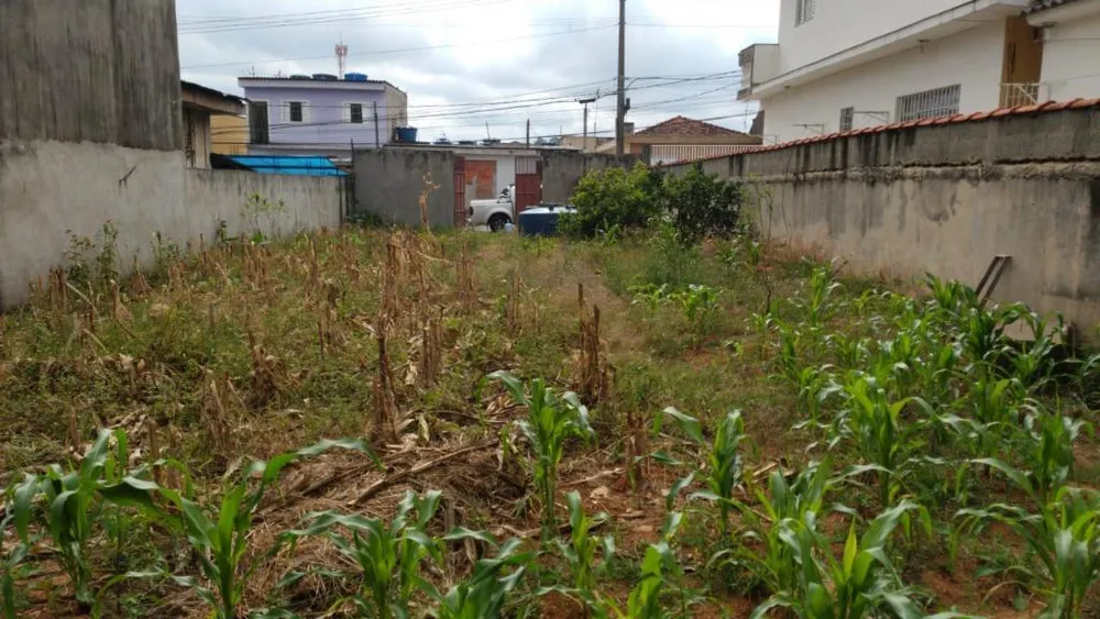 Terreno, 340 m² - Foto 2