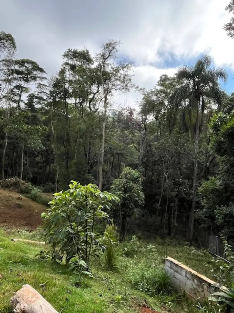Chácara, 2 quartos, 7000 m² - Foto 9