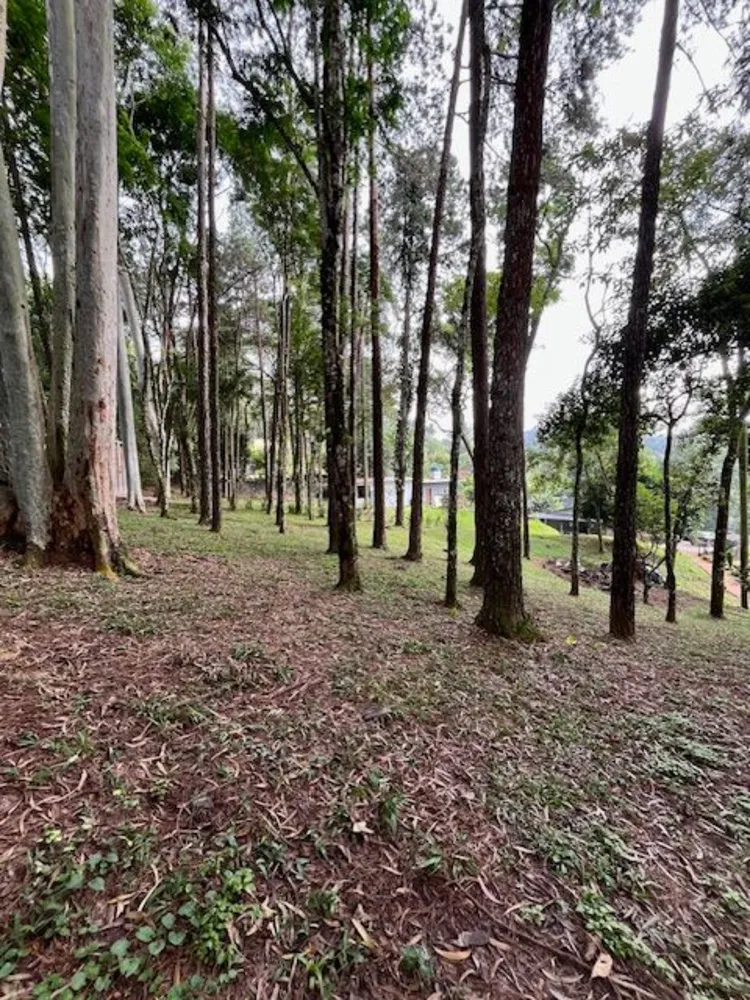 Chácara, 2 quartos, 7000 m² - Foto 1