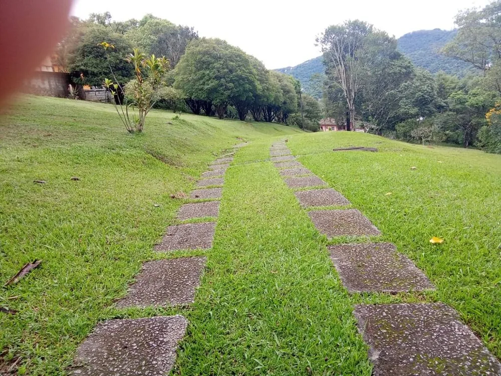 Terreno, 4 hectares - Foto 4