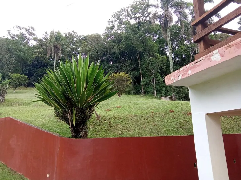 Terreno, 4 hectares - Foto 8