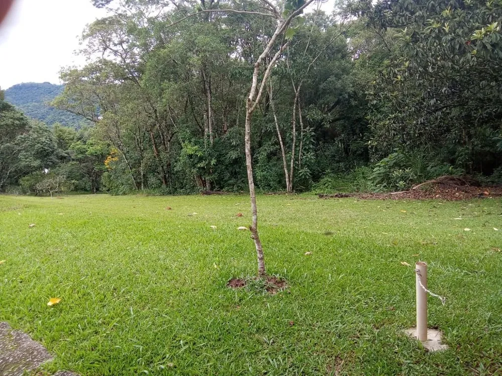 Terreno, 4 hectares - Foto 9