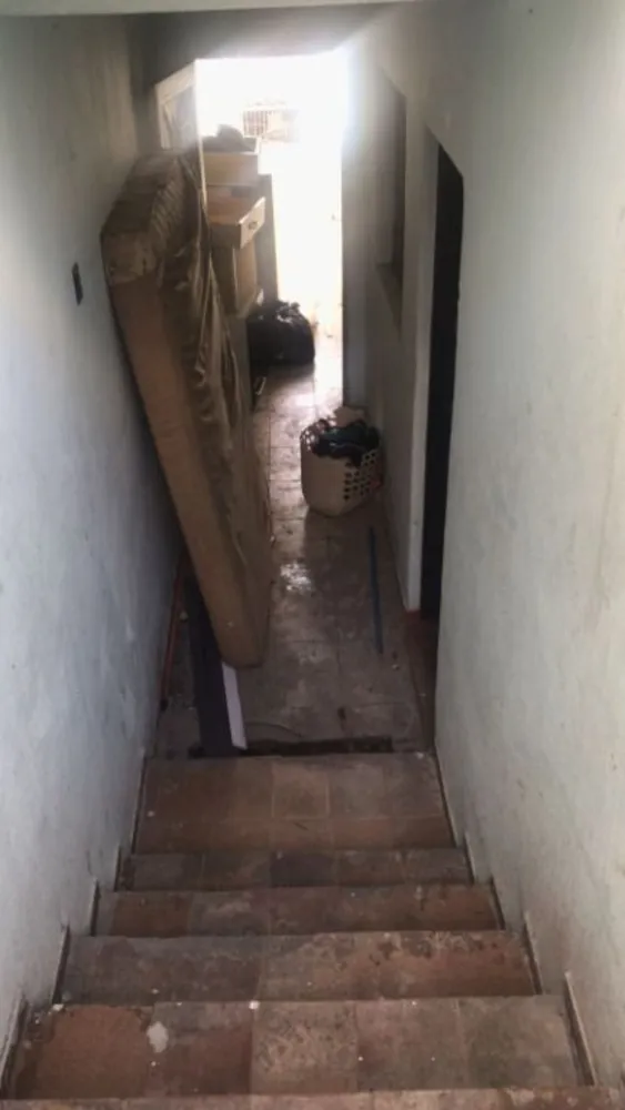 Casa, 7 quartos, 250 m² - Foto 3