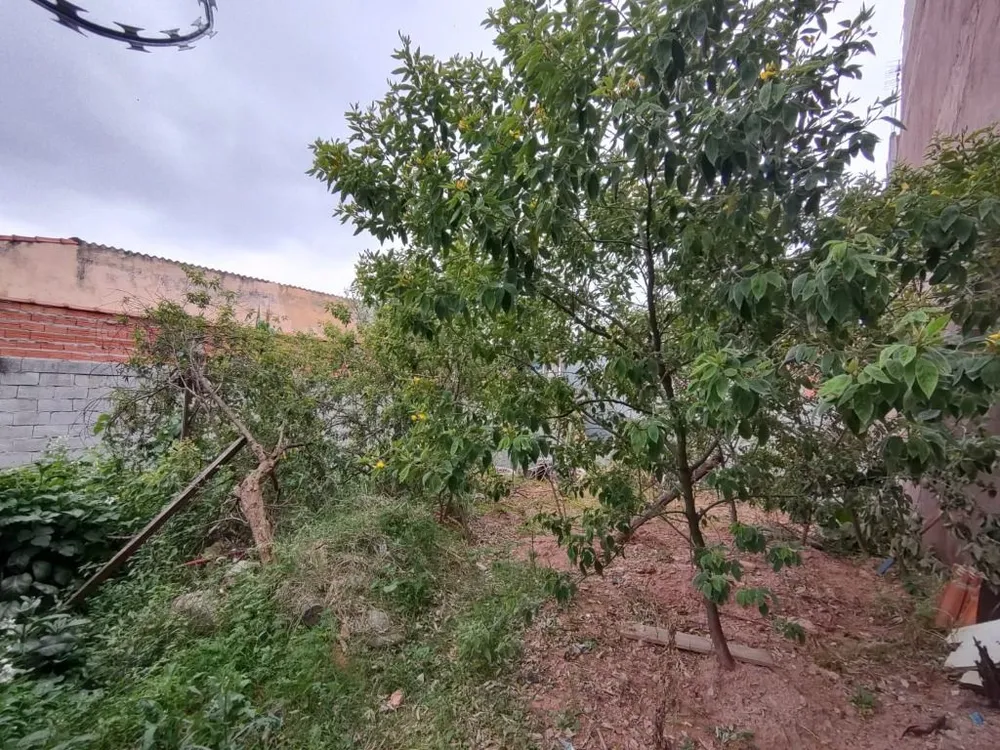 Terreno, 250 m² - Foto 3