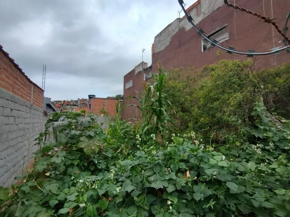 Terreno, 250 m² - Foto 2