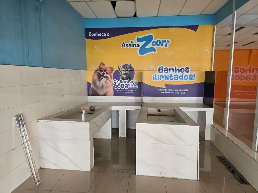 Depósito-Galpão, 304 m² - Foto 4