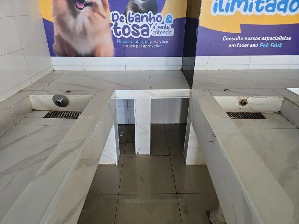 Depósito-Galpão, 304 m² - Foto 6