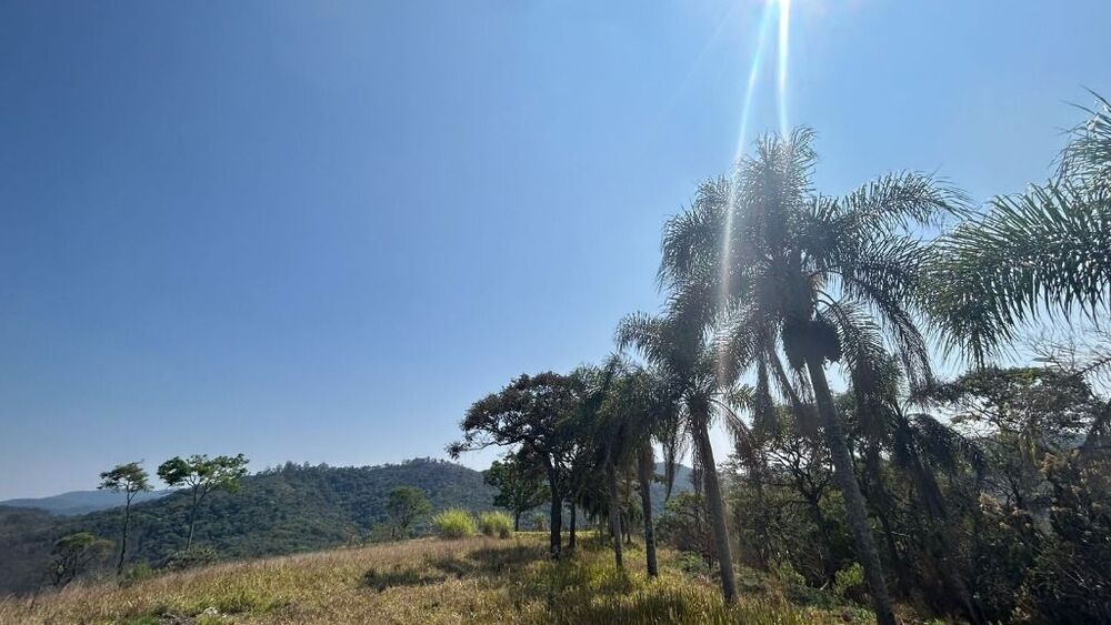 Terreno, 26 hectares - Foto 3