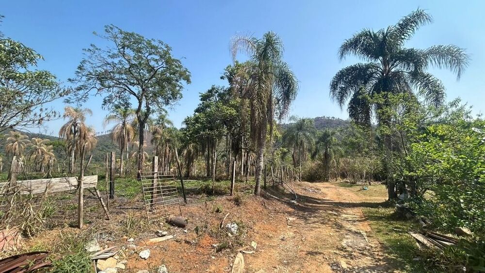 Terreno, 26 hectares - Foto 2