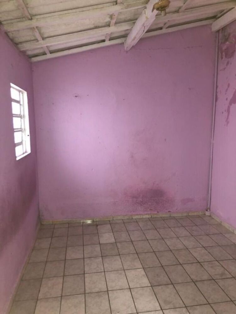 Casa, 7 quartos, 250 m² - Foto 6