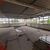 Prédio Inteiro, 14000 m² - Foto 34